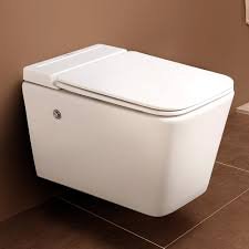 Tank less wall hung closet